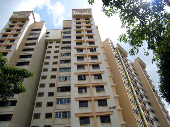 Blk 205C Compassvale Place (Sengkang), HDB 5 Rooms #314012